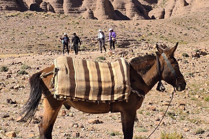 Trekking en el Djebel Saghro