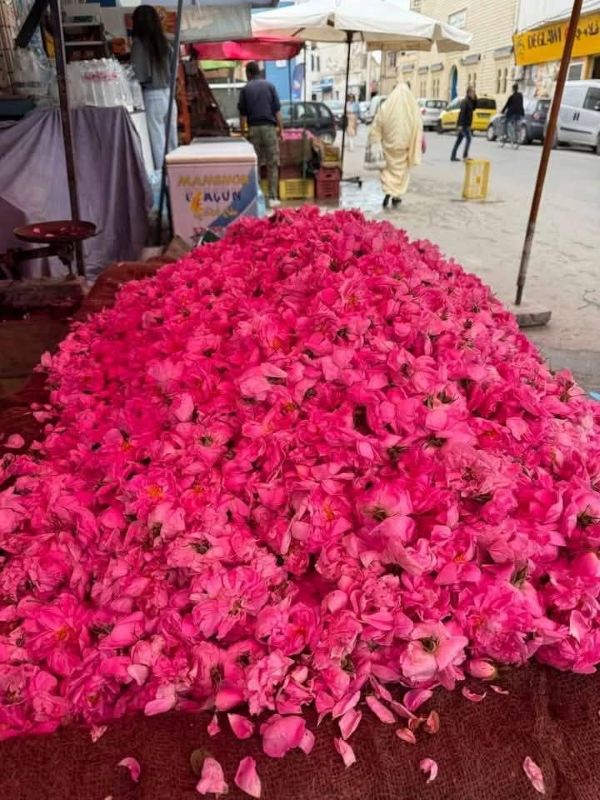 FESTIVAL DE LAS ROSAS MARRUECOS EN MGOUNA