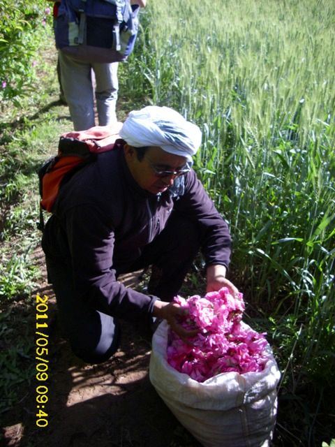 Lhcene guia en valle de las rosas