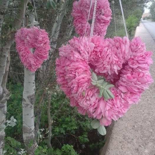 SENDERISMO EN VALLE DE LAS ROSAS MARRUECOS