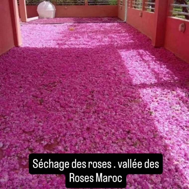 TREKKING EN LA VALLE DE LAS ROSAS MARRUECOS