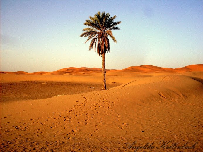 chegaga dunas marruecos