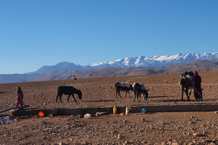 TREKKING MARRUECOS Saghro