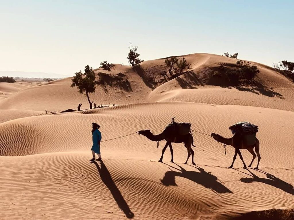 excurcion desierto Marruecos