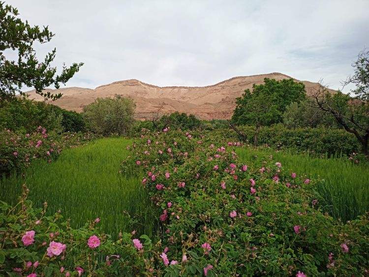 la valle de las rosas trekking en mayo