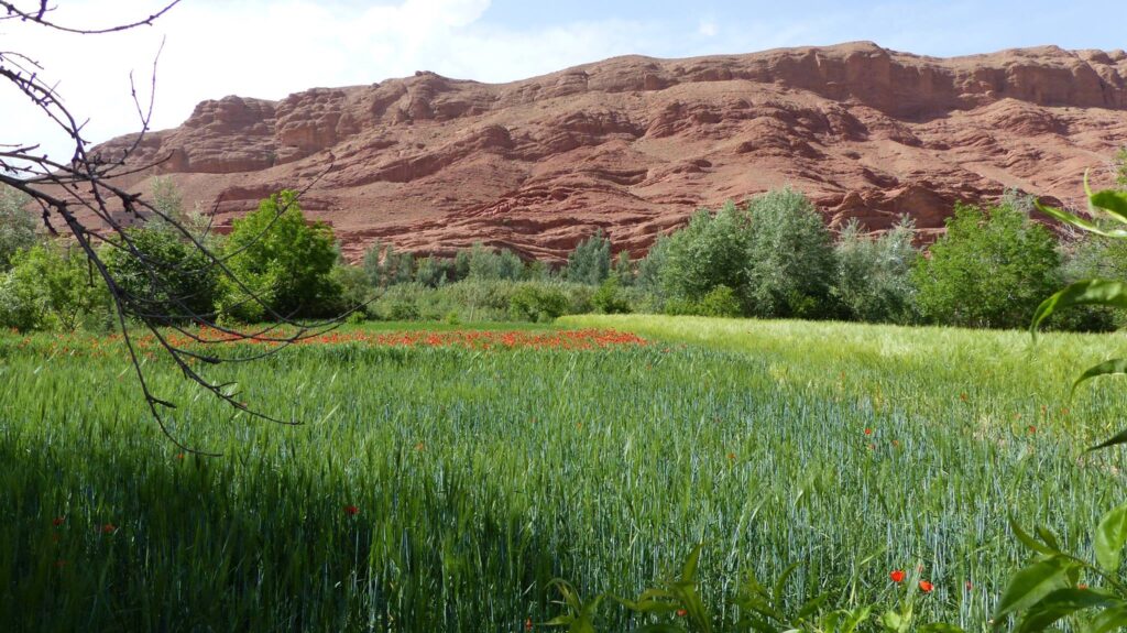 rosas valle marruecos trek