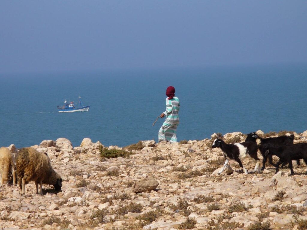 MARRUECOS COSTA ATLANTICA ESSAOUIRA -AGADIR